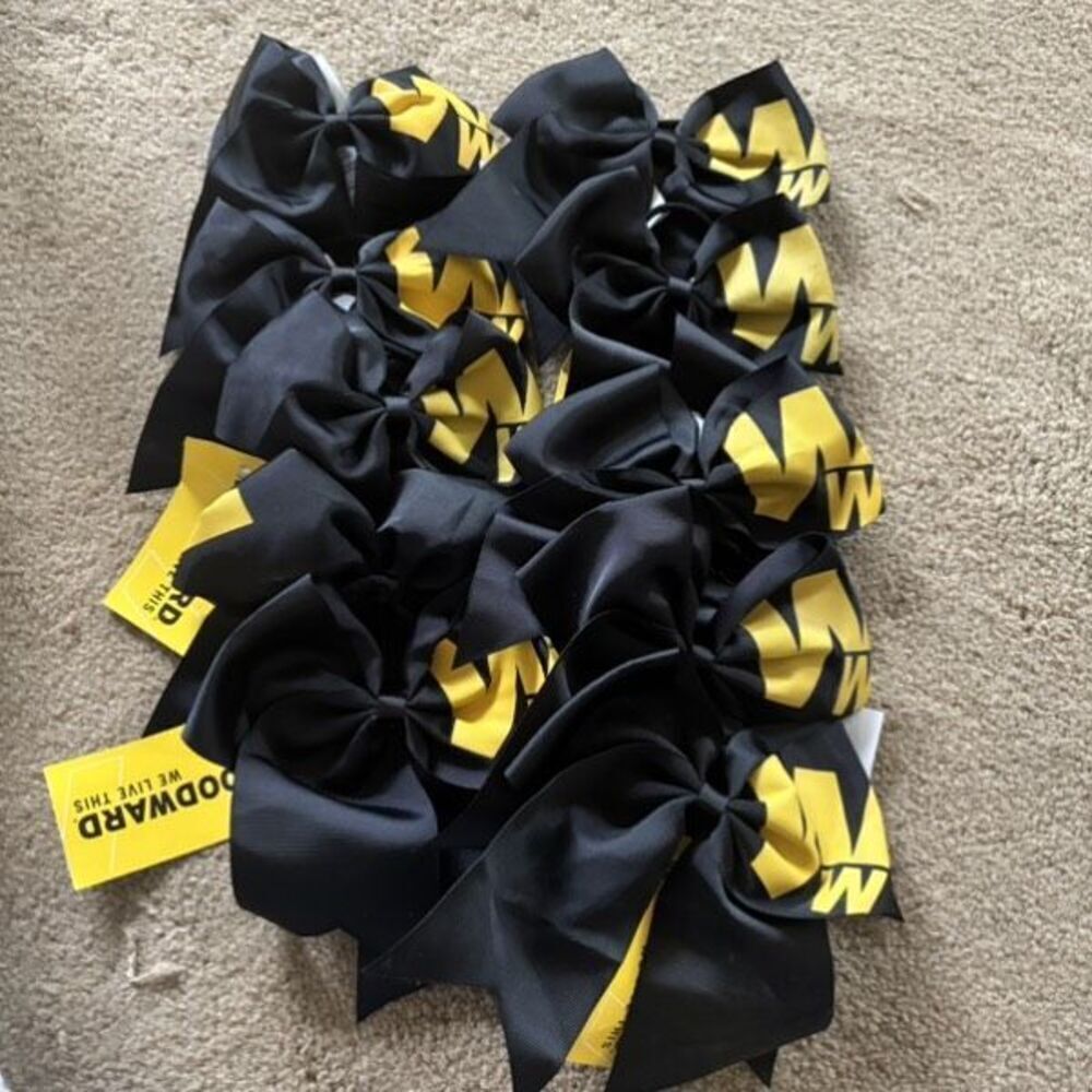 Cheer Bows Lot Of 10 Woodward *New*